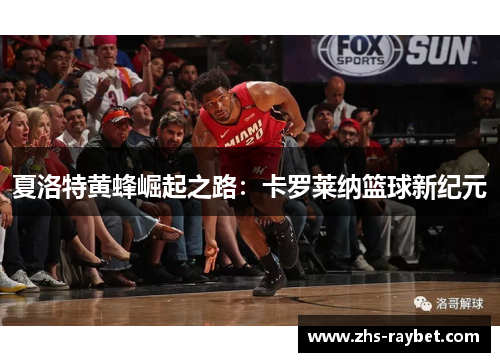 夏洛特黄蜂崛起之路:卡罗莱纳篮球新纪元 夏洛特黄蜂崛起之路:卡罗莱纳篮球新纪元